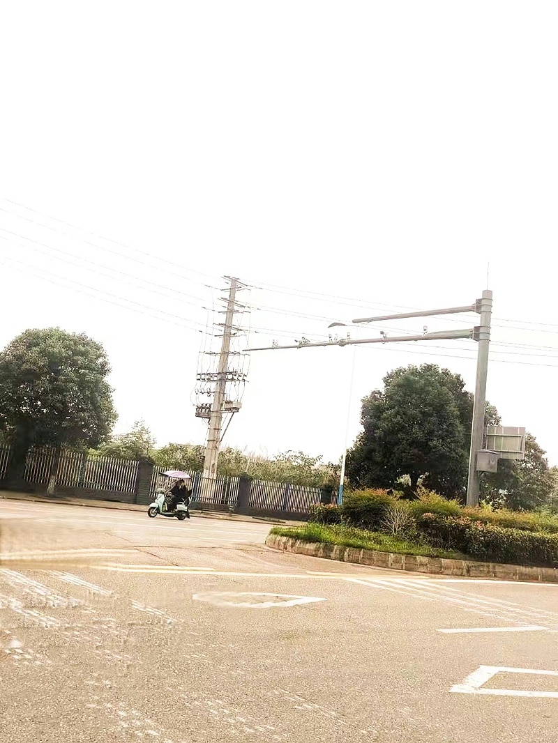 菲尼特道路监控杆